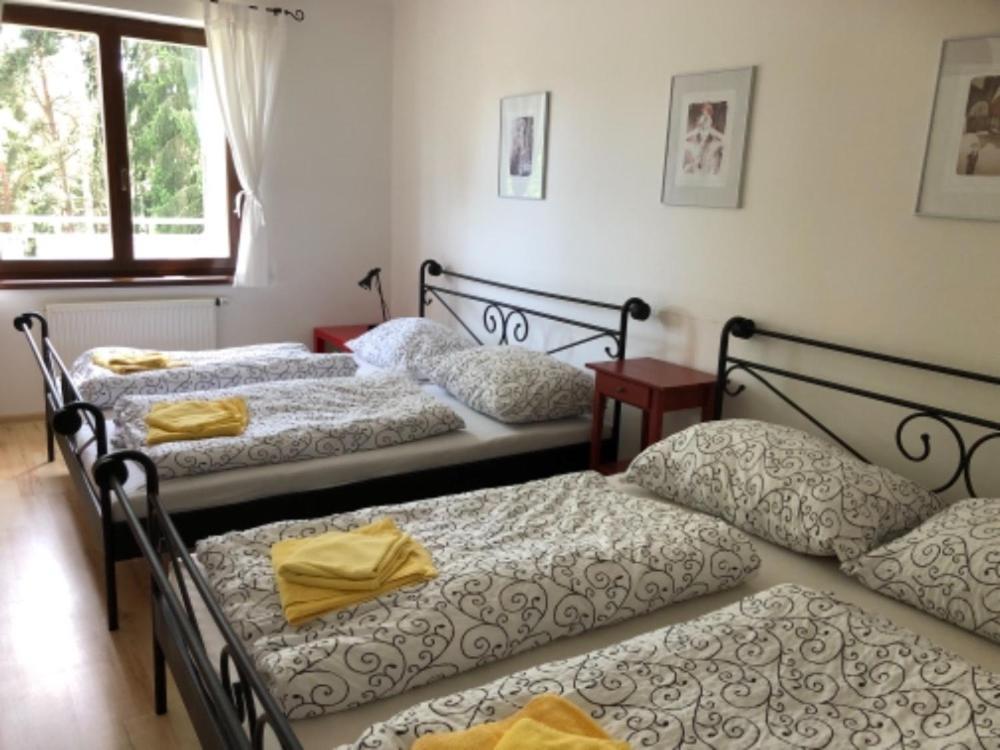 Apartmany Lipno Boucek Lipno nad Vltavou Eksteriør bilde